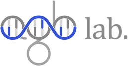 logo-lab