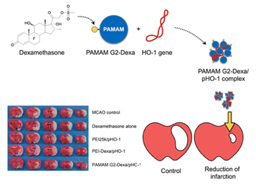 stroke gene therapy